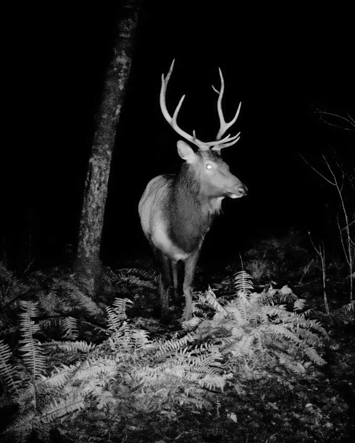 Bild zum Künstler David Zehnder