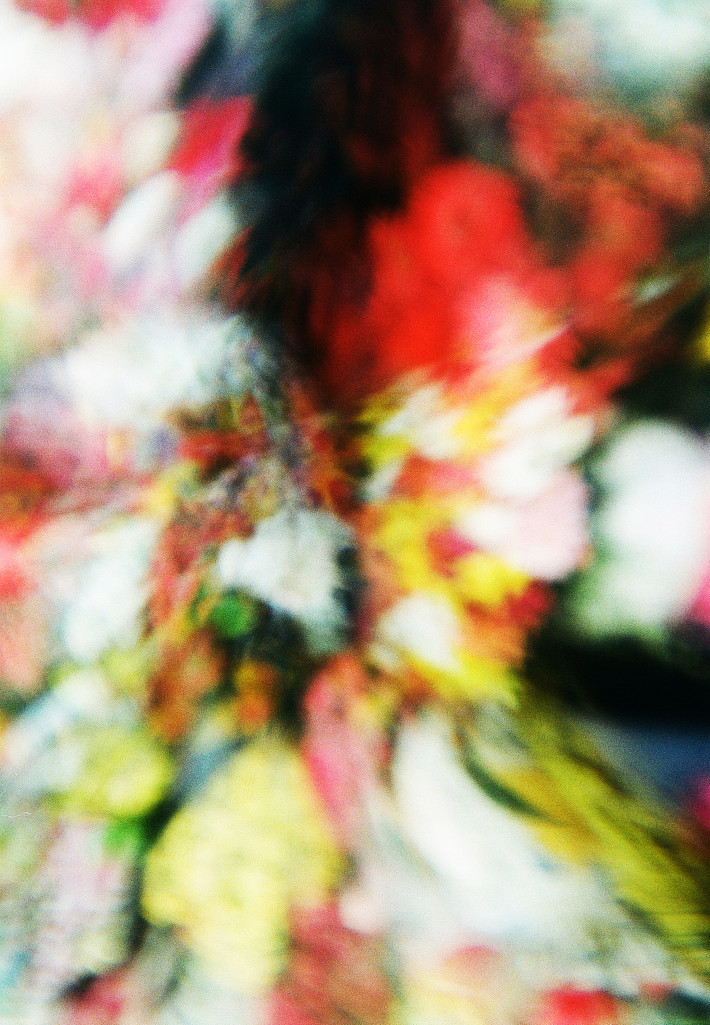 Bild zum Künstler Paulo Wirz