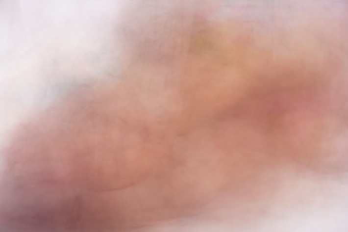 Bild zum Künstler Peter Baracchi