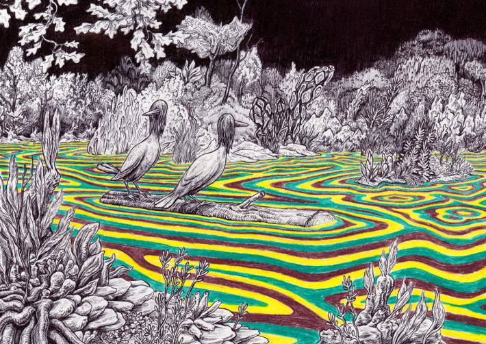 Bild zum Künstler Martin Geel