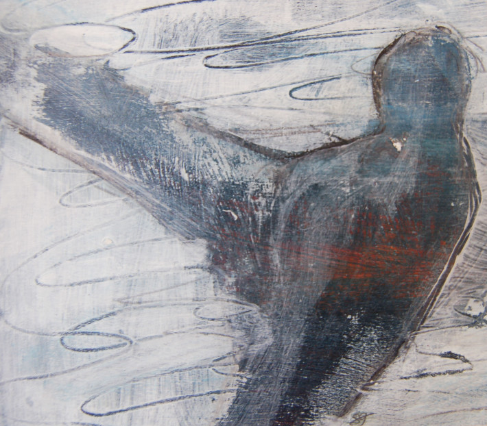 Bild zum Künstler Selina Gloor