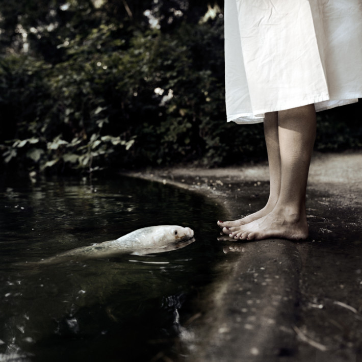 Bild zum Künstler Lea Meienberg  Heta Multanen